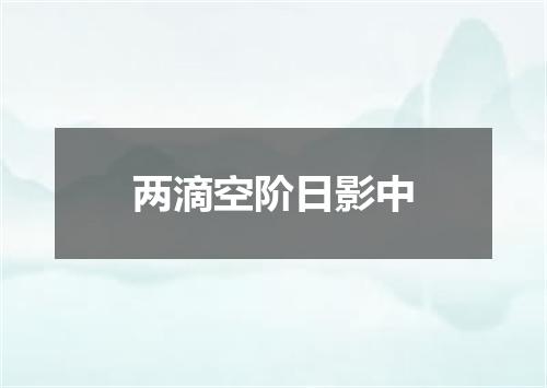 两滴空阶日影中