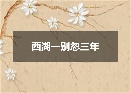 西湖一别忽三年