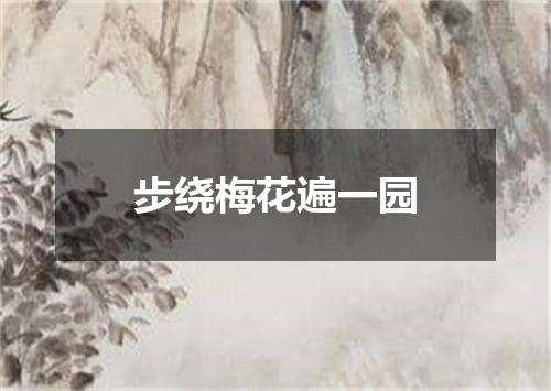 步绕梅花遍一园