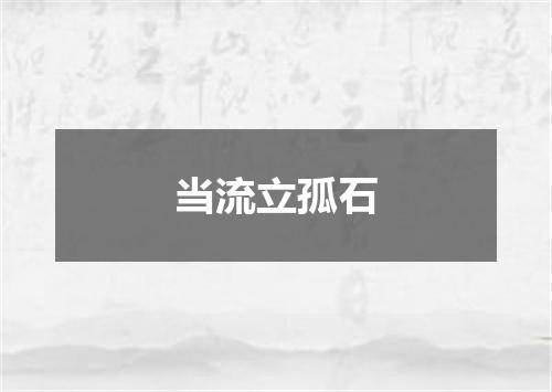 当流立孤石