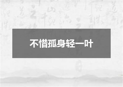 不惜孤身轻一叶