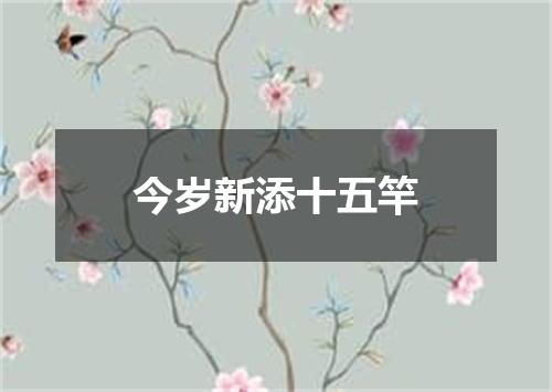 今岁新添十五竿