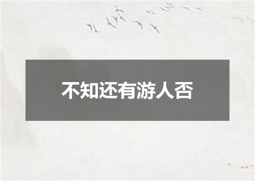 不知还有游人否