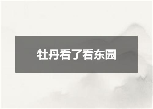 牡丹看了看东园