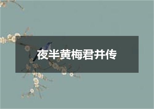 夜半黄梅君并传