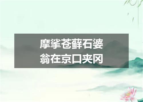 摩挲苍藓石婆翁在京口夹冈