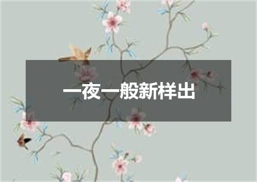 一夜一般新样出