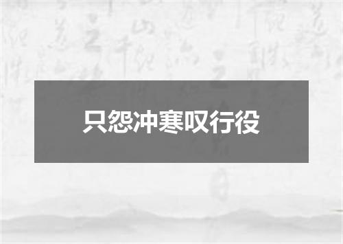 只怨冲寒叹行役