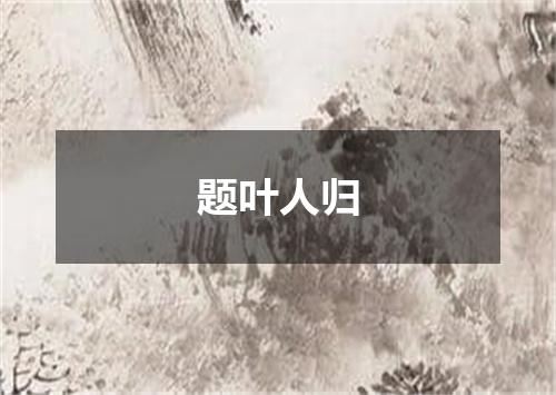 题叶人归