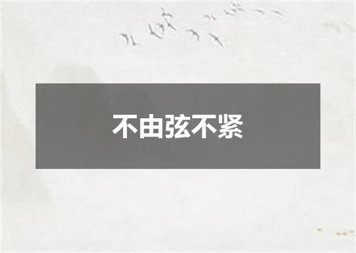 不由弦不紧