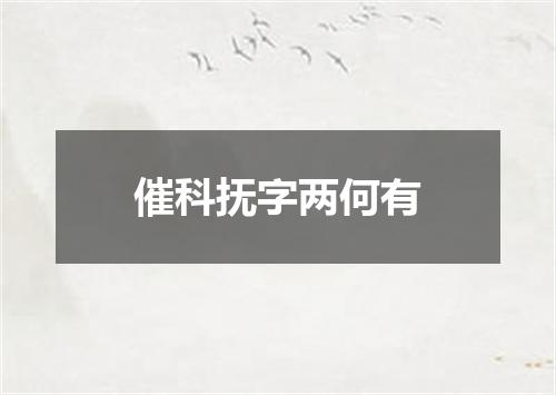 催科抚字两何有