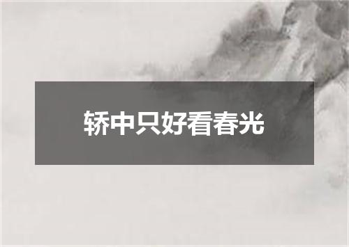 轿中只好看春光