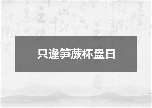 只逢笋蕨杯盘日