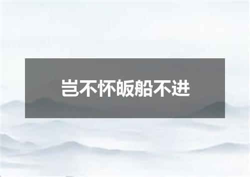 岂不怀皈船不进