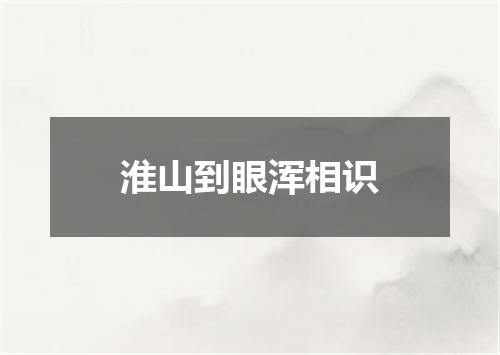 淮山到眼浑相识