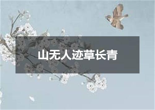 山无人迹草长青