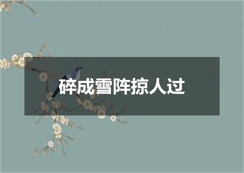 碎成雪阵掠人过