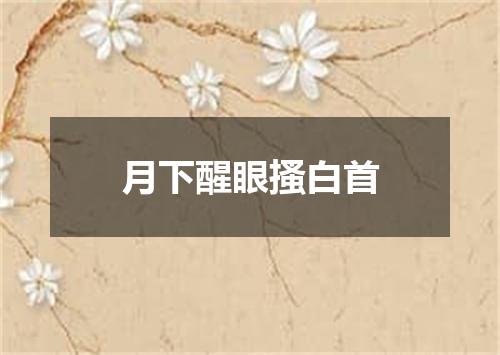 月下醒眼搔白首