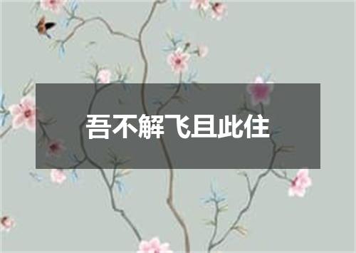 吾不解飞且此住