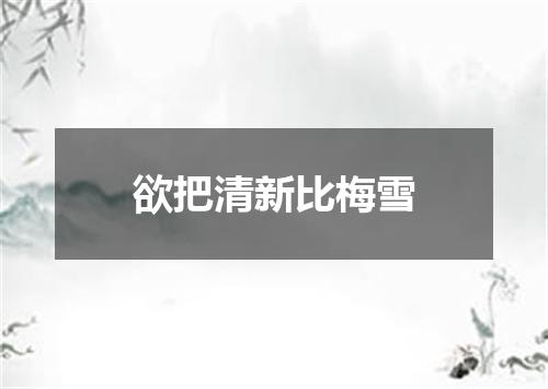 欲把清新比梅雪