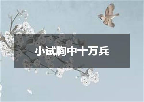 小试胸中十万兵