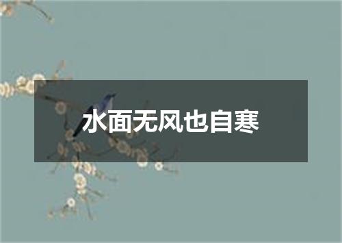 水面无风也自寒