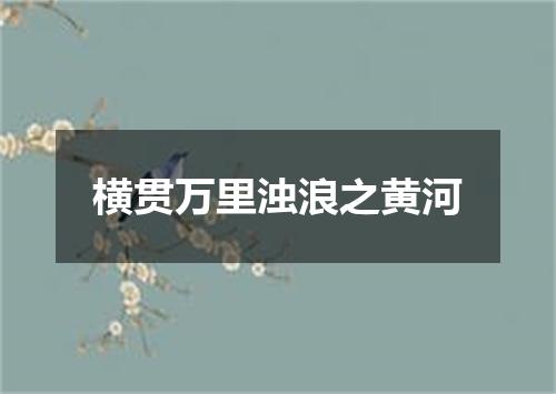 横贯万里浊浪之黄河