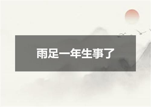 雨足一年生事了