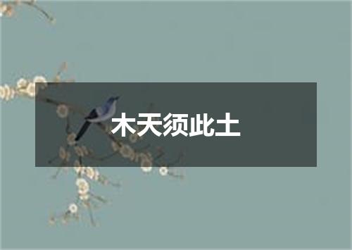 木天须此土