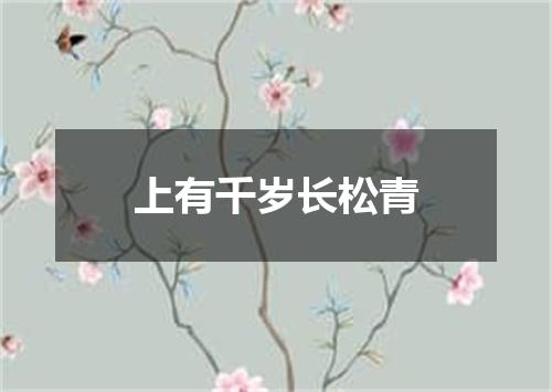 上有千岁长松青