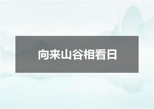 向来山谷相看日