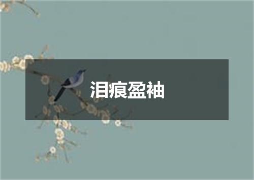 泪痕盈袖