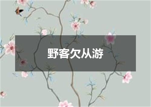 野客欠从游
