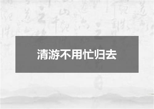 清游不用忙归去