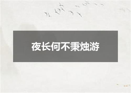 夜长何不秉烛游