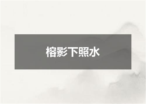 榕影下照水