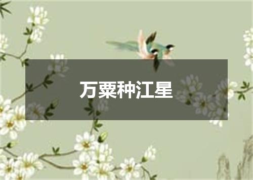 万粟种江星