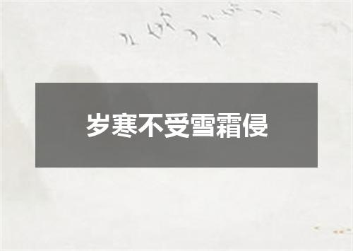 岁寒不受雪霜侵