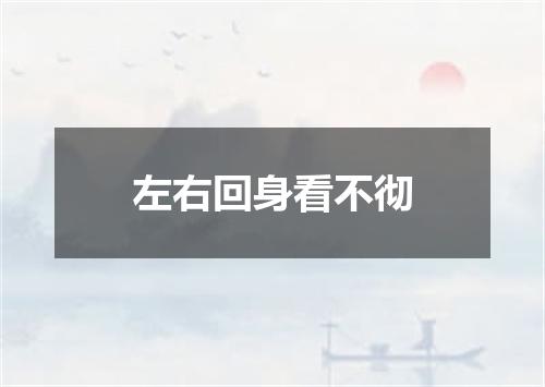 左右回身看不彻