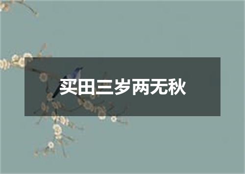 买田三岁两无秋