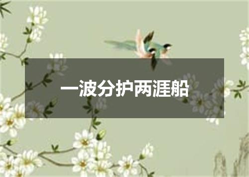一波分护两涯船