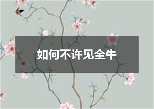如何不许见全牛