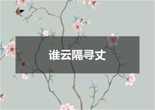 谁云隔寻丈