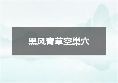 黑风青草空巢穴