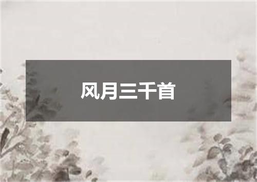 风月三千首