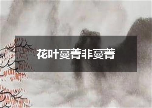 花叶蔓菁非蔓菁