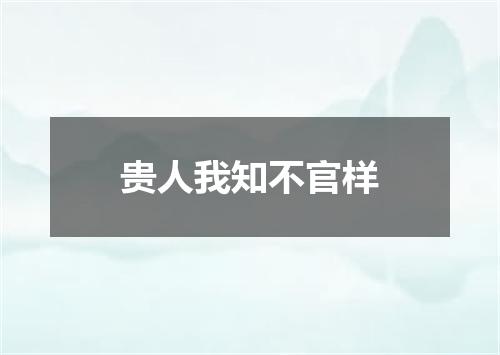 贵人我知不官样