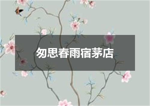 匆思春雨宿茅店