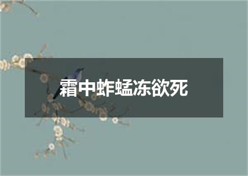 霜中蚱蜢冻欲死