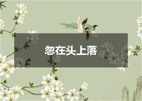 忽在头上落